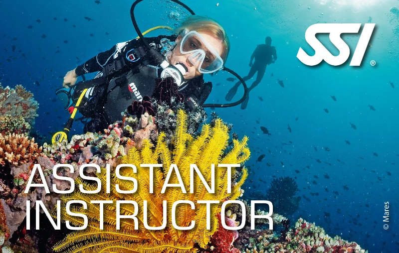 SSI Assistant Instructor Zertifizierungskarte
