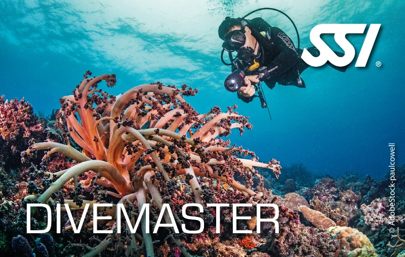 SSI Divemaster Zertifizierungskarte