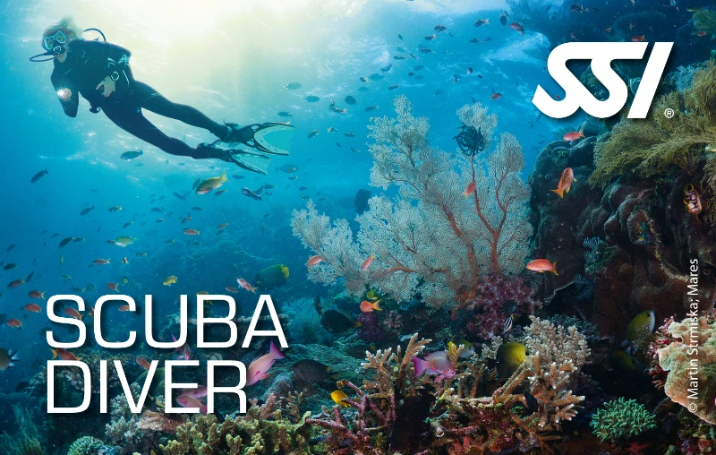 Digitale SSI Scuba Diver Zertifizierungskarte