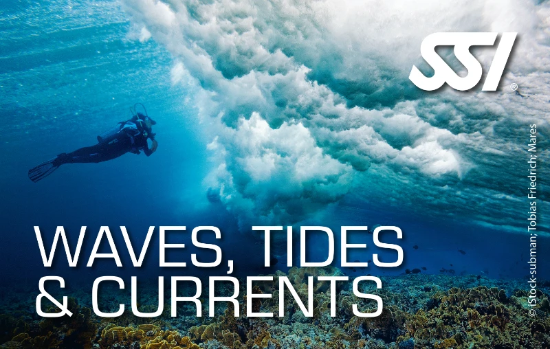 Digitale SSI Waves, Tides & Currents Zertifizierungskarte