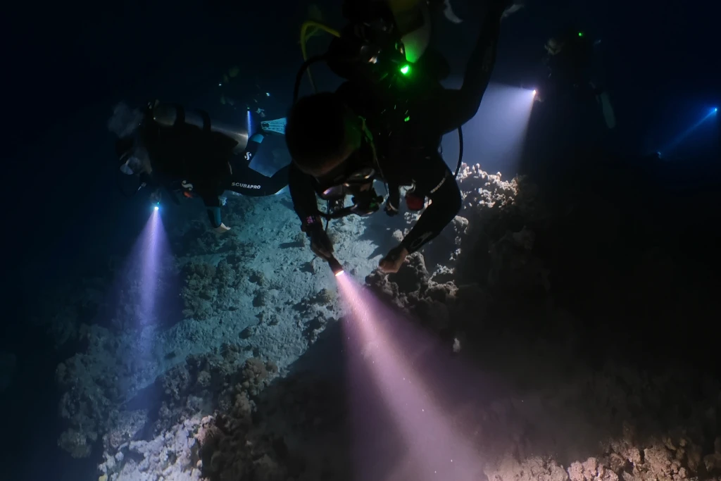 Taucher mit Tauchlampe beim SSI Night Diving and Limited Visibility Specialty